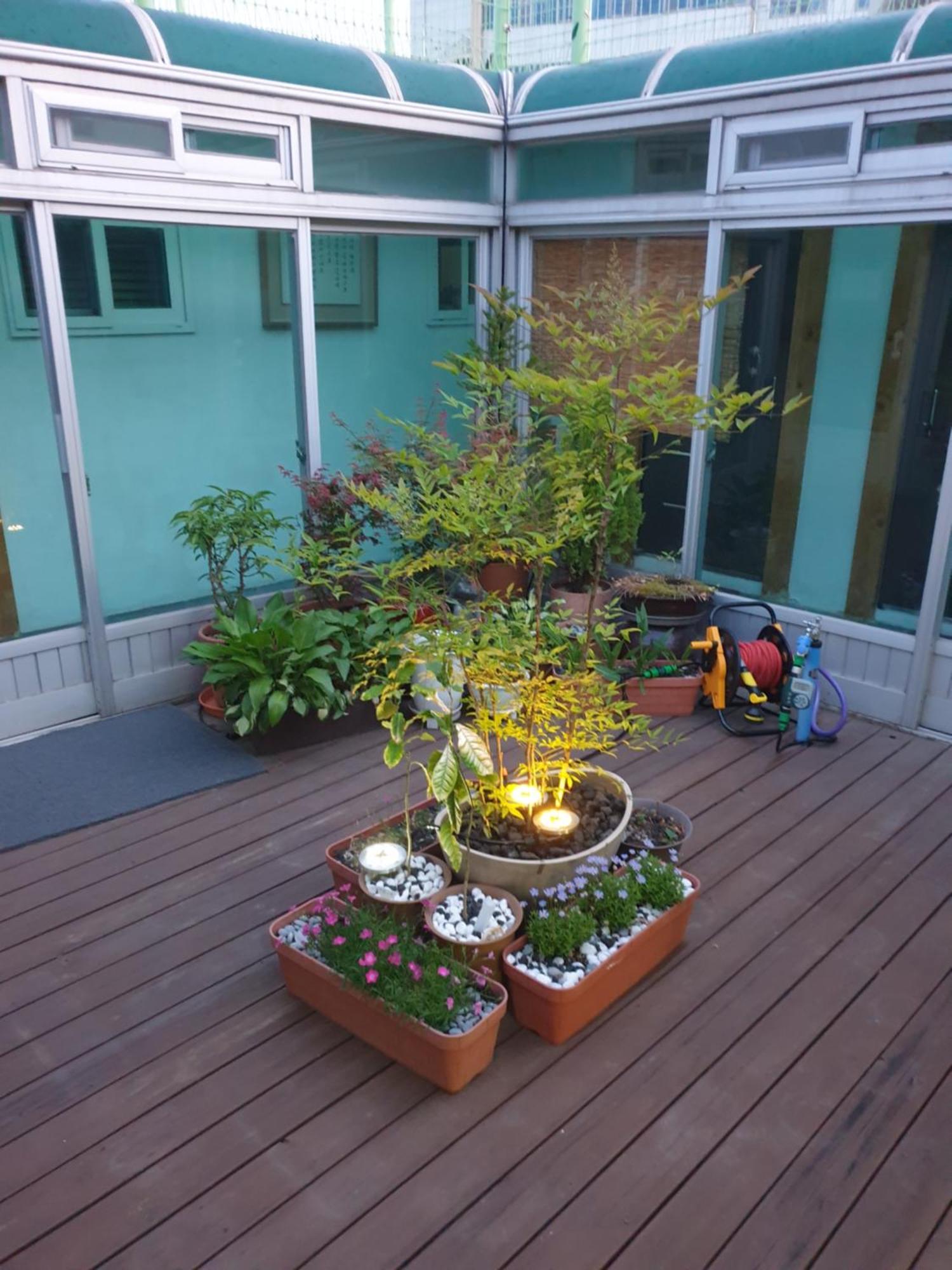 Dal Garam Guesthouse Gangneung Ngoại thất bức ảnh