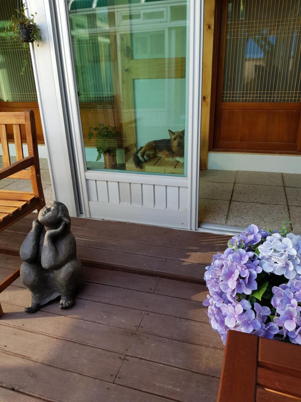 Dal Garam Guesthouse Gangneung Ngoại thất bức ảnh